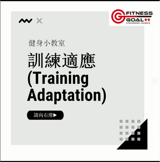 訓練適應(Training Adaptation)